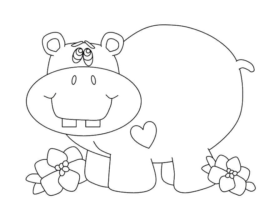 Coloring The Hippo and flowers. Category Animals. Tags:  animals, hippopotamus, Hippo.