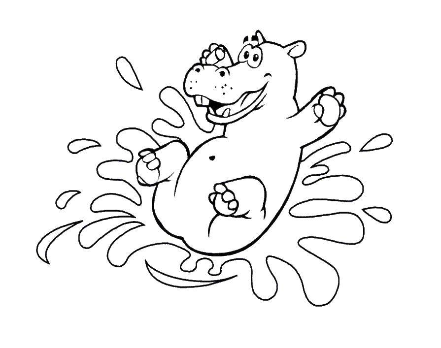Coloring The Hippo in the water. Category Animals. Tags:  animals, hippopotamus, Hippo.