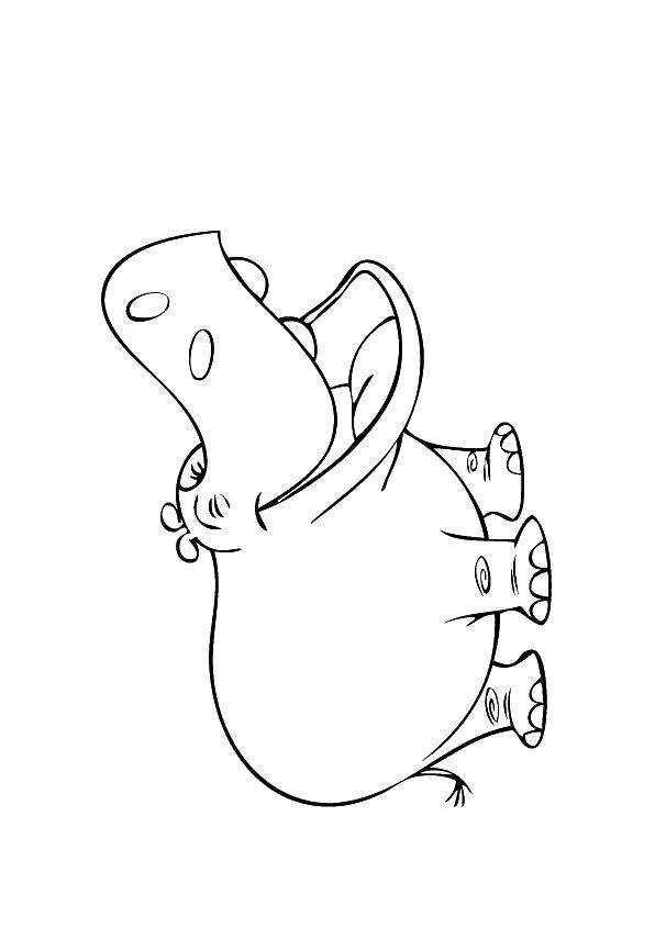 Coloring Hippo. Category Hippo. Tags:  Hippo.