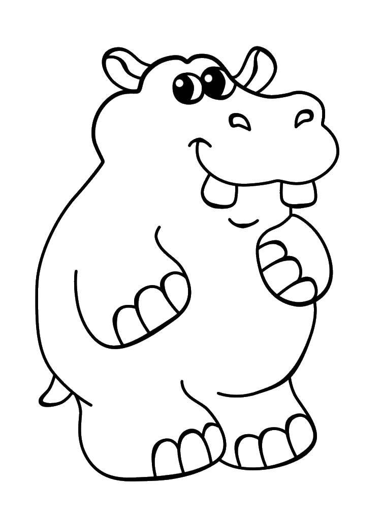 Coloring Hippo. Category Hippo. Tags:  Hippo.