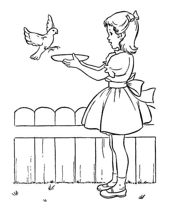 Название: Раскраска Девочка кормит птиц. Категория: Люди. Теги: девочка, птицы.