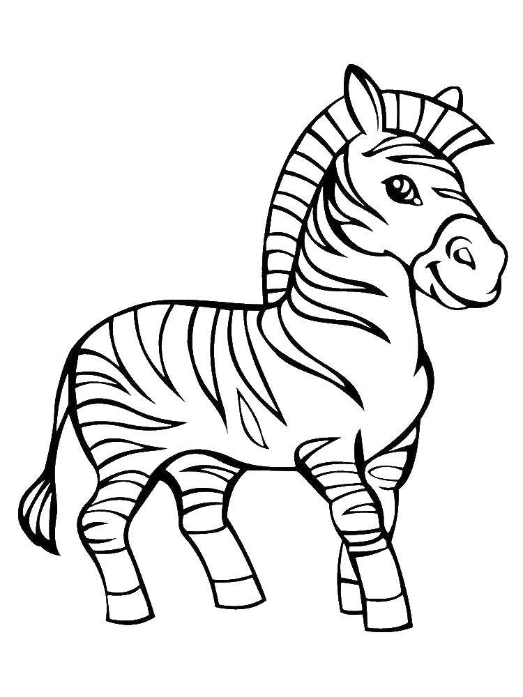 Название: Раскраска Красивая зебра. Категория: Животные. Теги: зебра, полоски, животные.