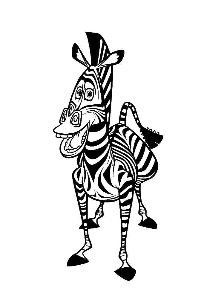 Название: Раскраска Мелман зебра. Категория: зебра. Теги: зебра.