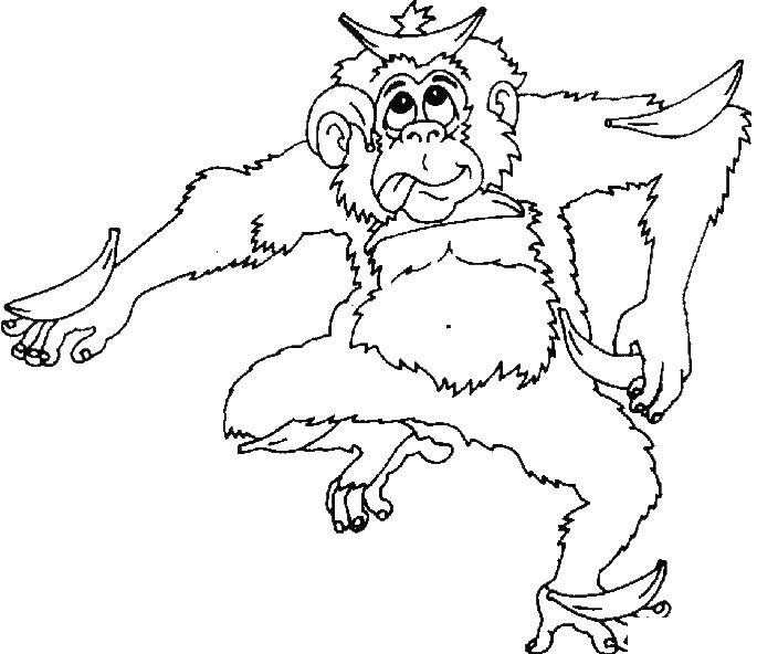 Название: Раскраска Обезьяна с бананами. Категория: обезьяна. Теги: обезьяна.