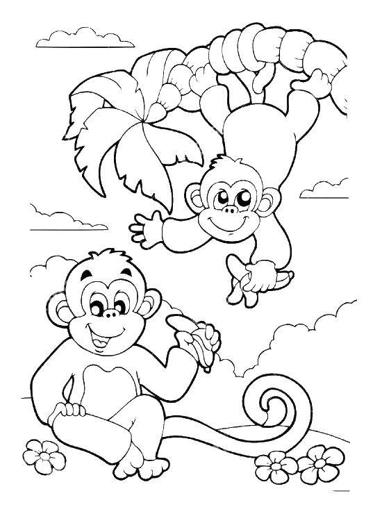 Coloring Monkey with bananas. Category Animals. Tags:  animals, APE, monkey, bananas.