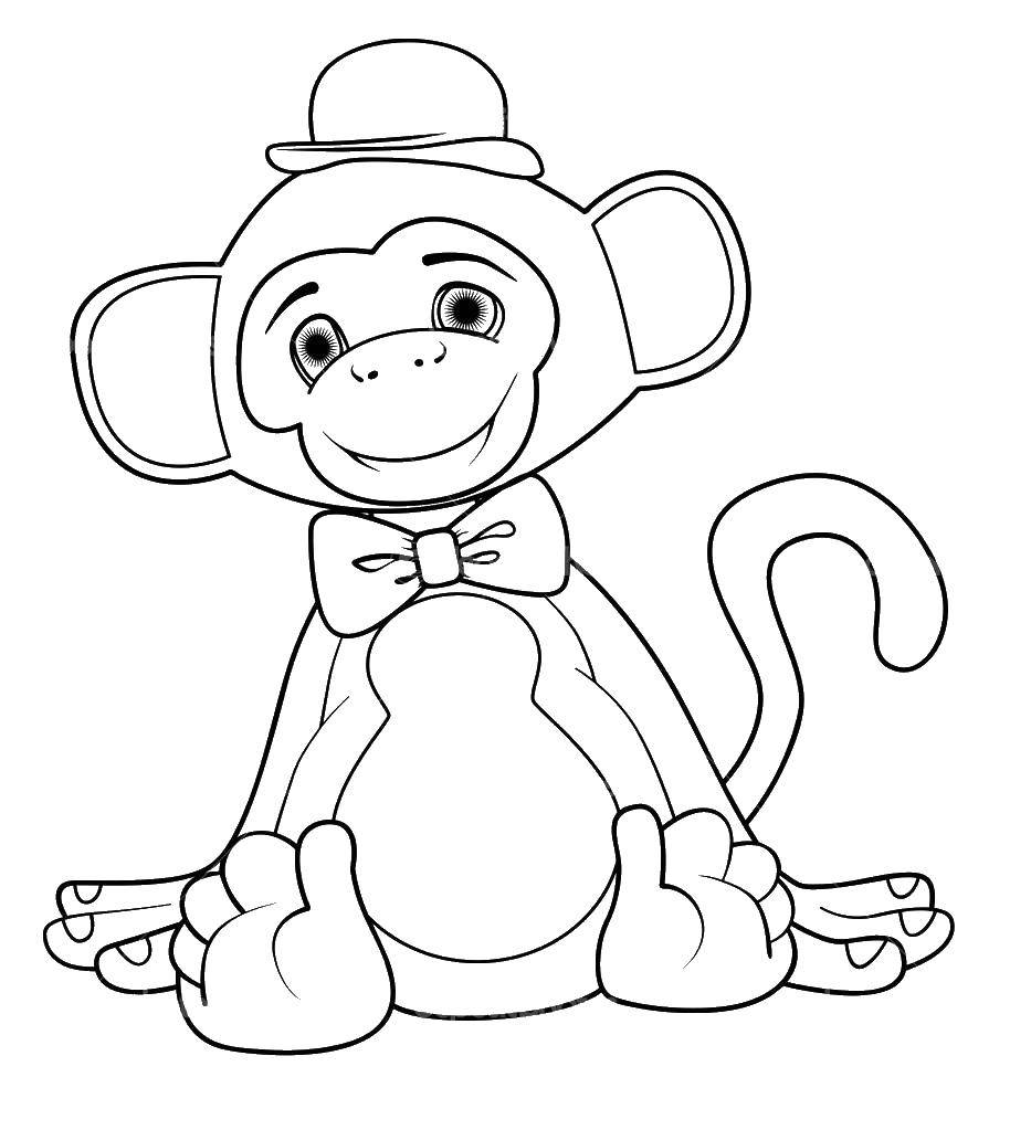 Название: Раскраска Обезьяна в шляпе. Категория: обезьяна. Теги: обезьяна, шляпа.