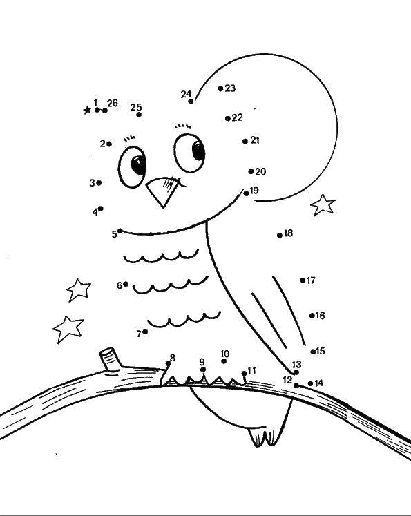 Coloring Owl on the branch. Category birds. Tags:  Owl.
