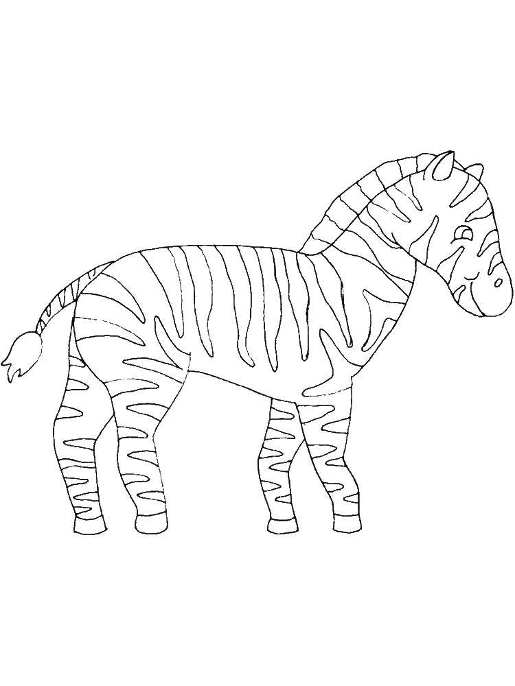 Название: Раскраска Зебра. Категория: Животные. Теги: зебра, полоски, животные.
