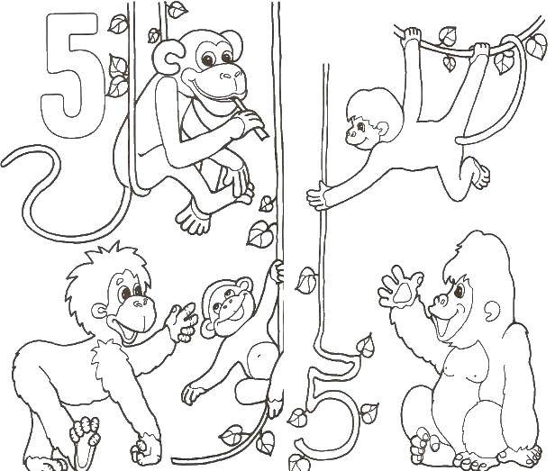 Розмальовки  Мавпи. Завантажити розмальовку мавпа.  Роздрукувати ,мавпа,