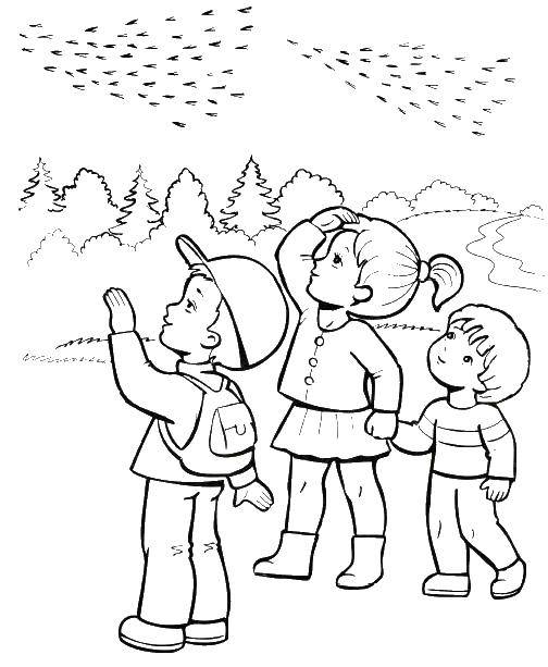 Название: Раскраска Дети смотрят как птицы улетают на юг. Категория: птицы. Теги: птицы.