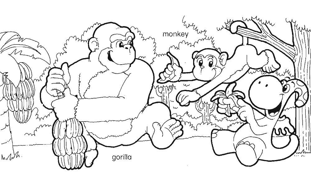 Название: Раскраска Горилла и обезьянки. Категория: Животные. Теги: животные, обезьяна, обезьянка, Горилла.