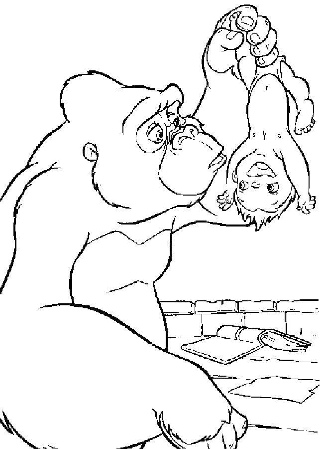 Название: Раскраска Горилла нашла тразана. Категория: Тарзан. Теги: горилла, ребенок.