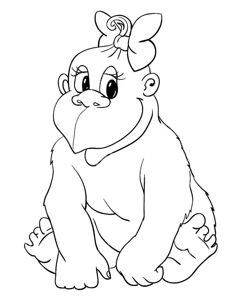 Название: Раскраска Горилла с бантиком. Категория: обезьяна. Теги: горилла.