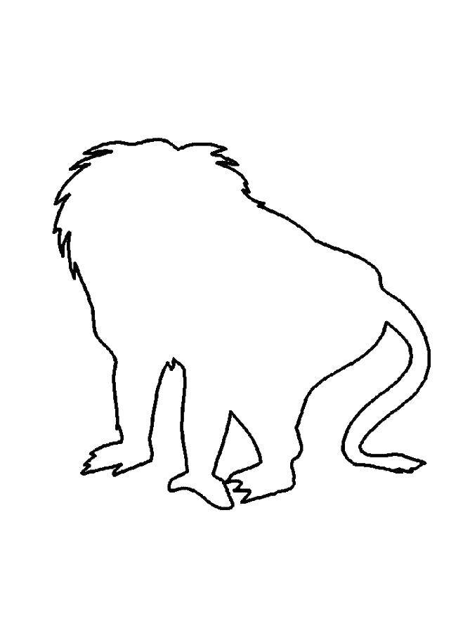 Coloring Circuit monkey. Category APE. Tags:  monkey, outline.