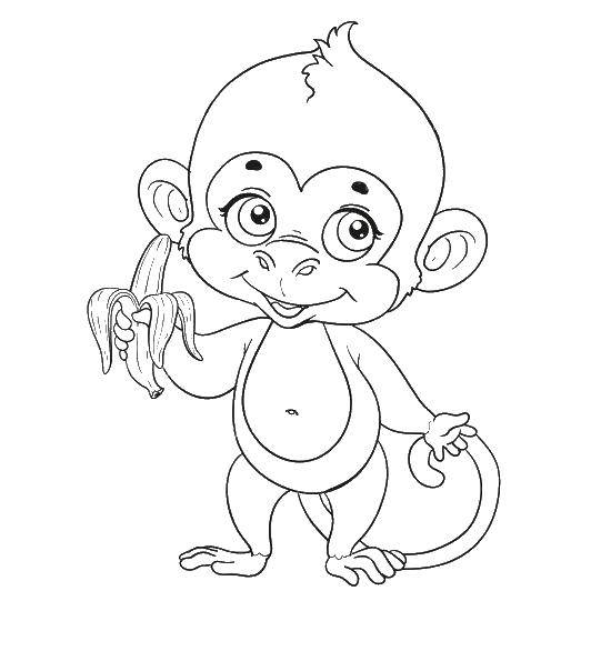 Название: Раскраска Милая обезьянка. Категория: Животные. Теги: животные, обезьяна, обезьянка.