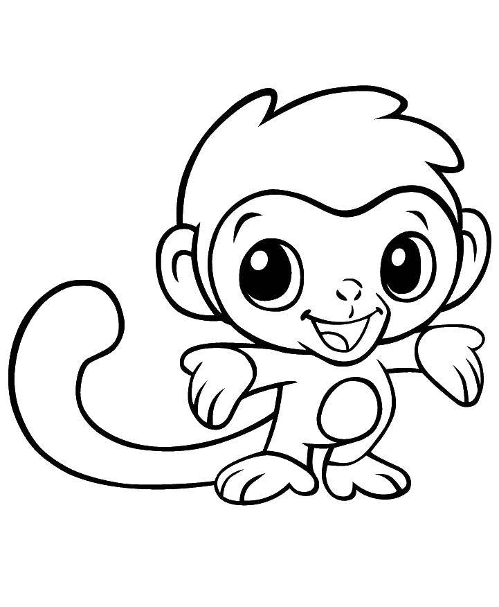 Название: Раскраска Милая обезьянка. Категория: Животные. Теги: животные, обезьяна, обезьянка, бананы.