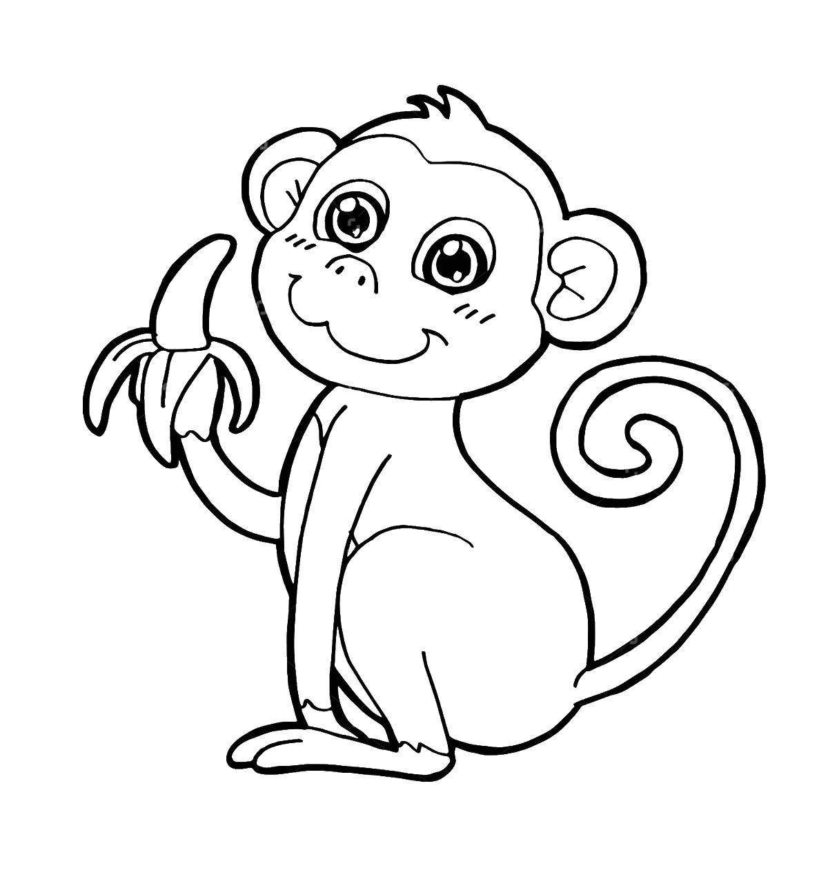 Coloring The monkey eats bananas. Category APE. Tags:  the monkey, banana.