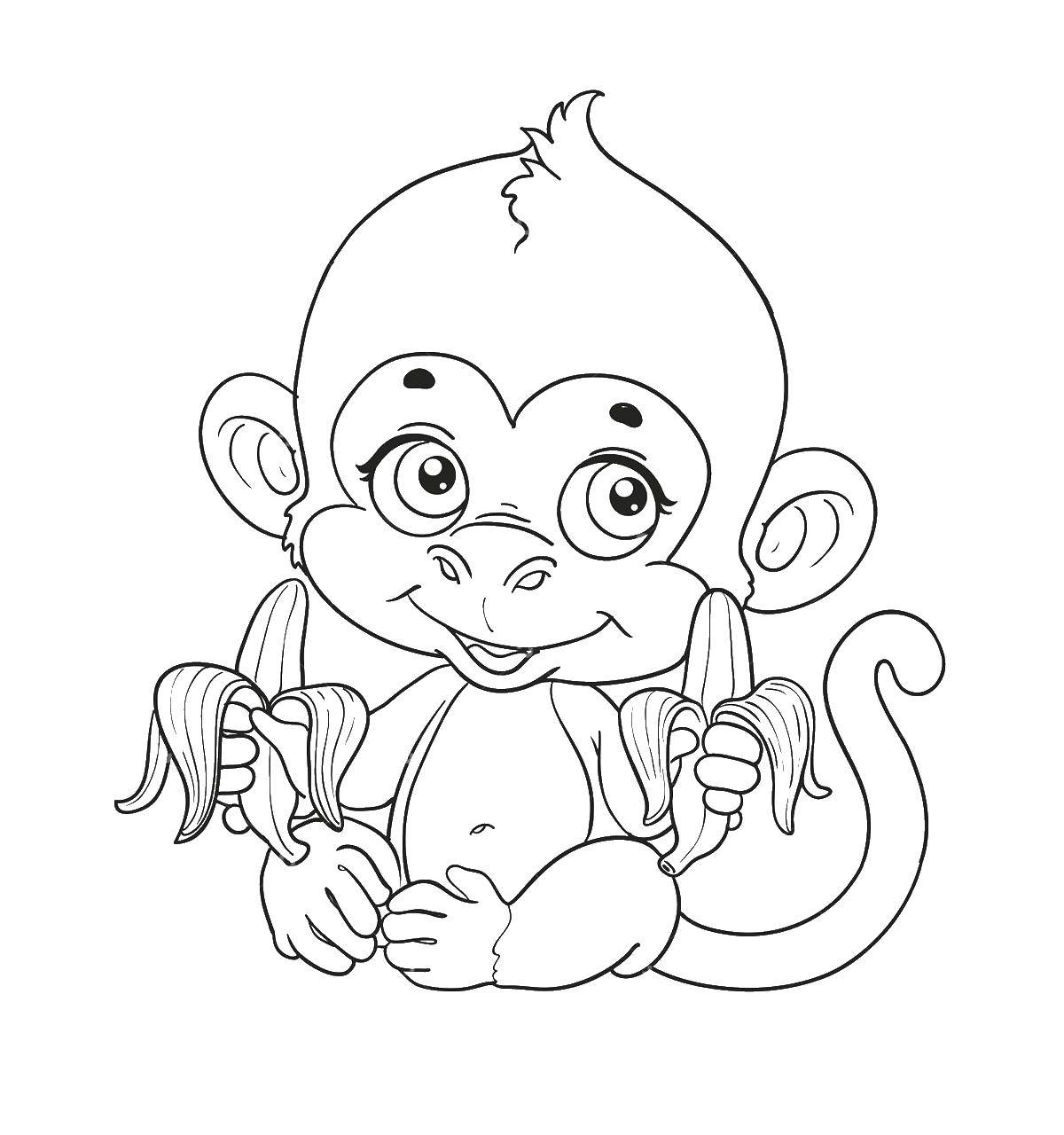 Название: Раскраска Обезьяна ест бананы. Категория: обезьяна. Теги: обезьяна, банан.