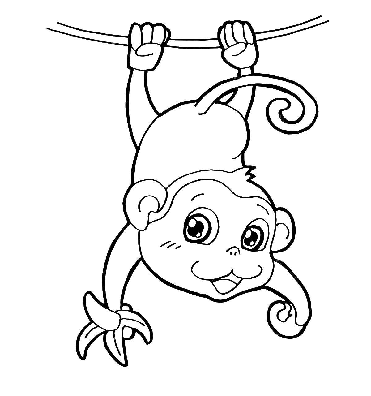 Название: Раскраска Обезьяна ест бананы. Категория: обезьяна. Теги: обезьяна, банан.
