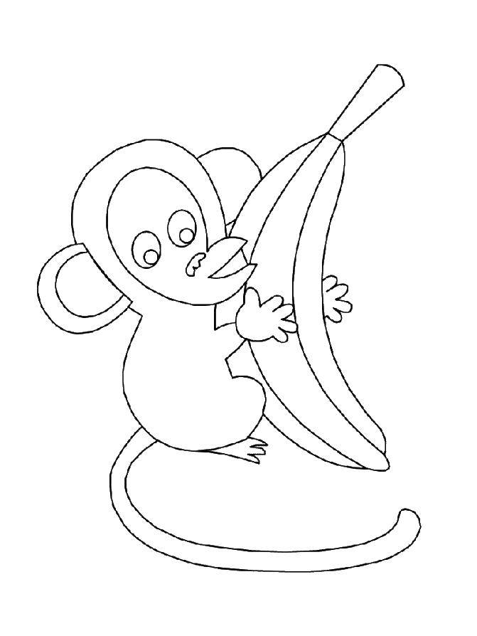 Название: Раскраска Обезьяна и банан. Категория: Животные. Теги: животные, обезьяна, обезьянка, бананы.