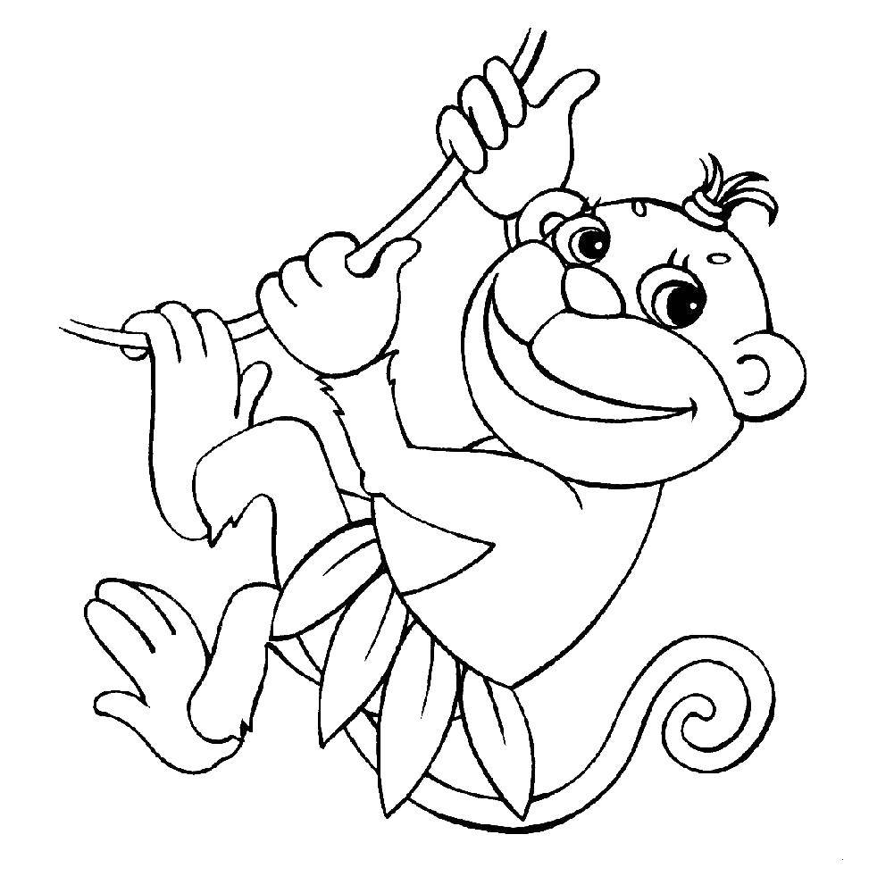 Название: Раскраска Обезьяна на лиане. Категория: обезьяна. Теги: обезьяна, банан.