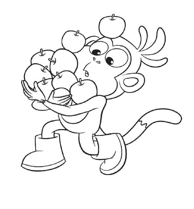 Coloring The monkey with the apples. Category APE. Tags:  monkey, apples.