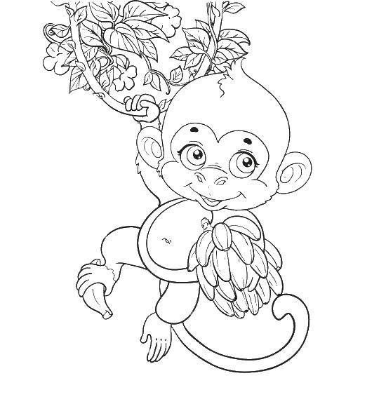Coloring Monkey with bananas. Category Animals. Tags:  animals, APE, monkey, bananas.