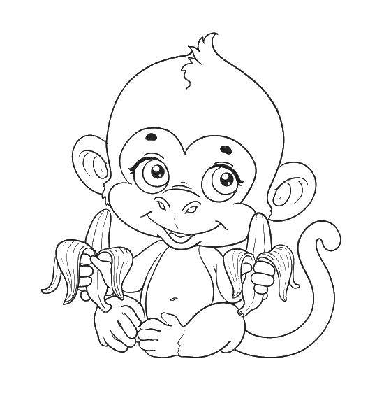 Название: Раскраска Обезьянка с двумя бананами. Категория: Животные. Теги: животные, обезьяна, обезьянка.