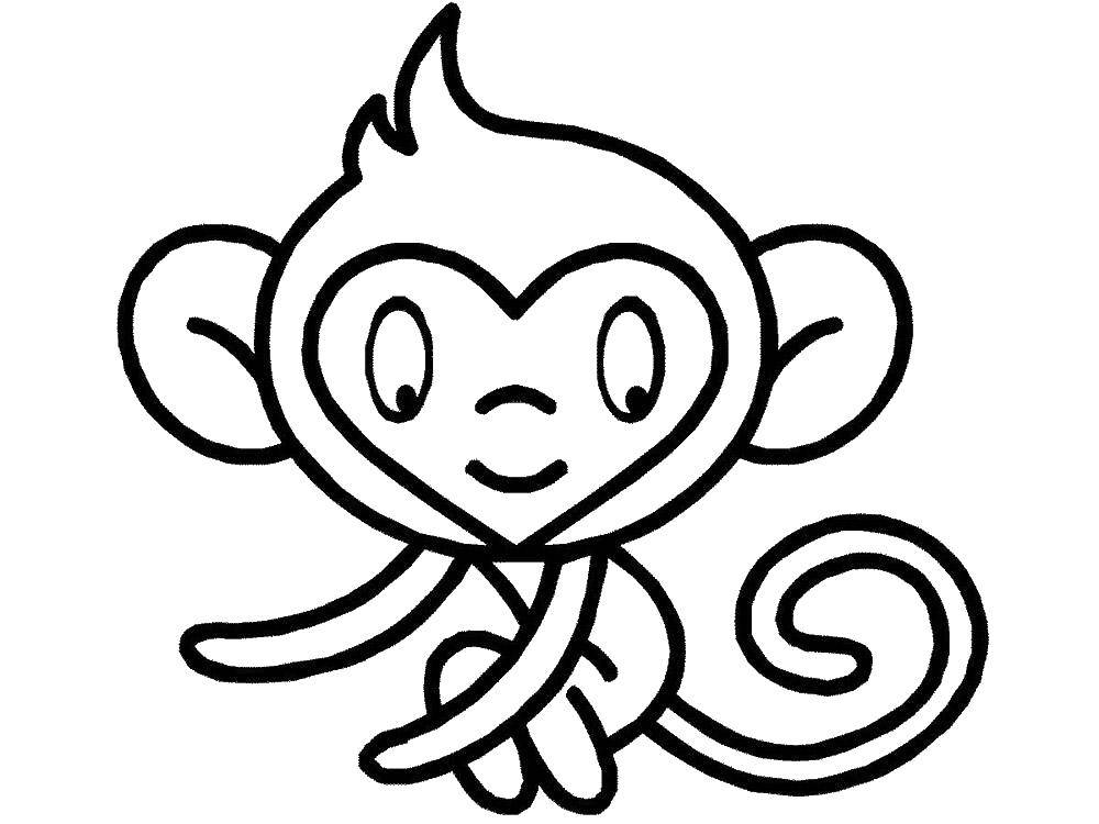 Coloring Monkey. Category Animals. Tags:  animals, APE, monkey.