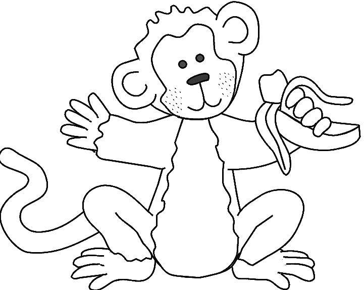 Название: Раскраска Обезьянка. Категория: обезьяна. Теги: обезьянка, обезьяна, банан.
