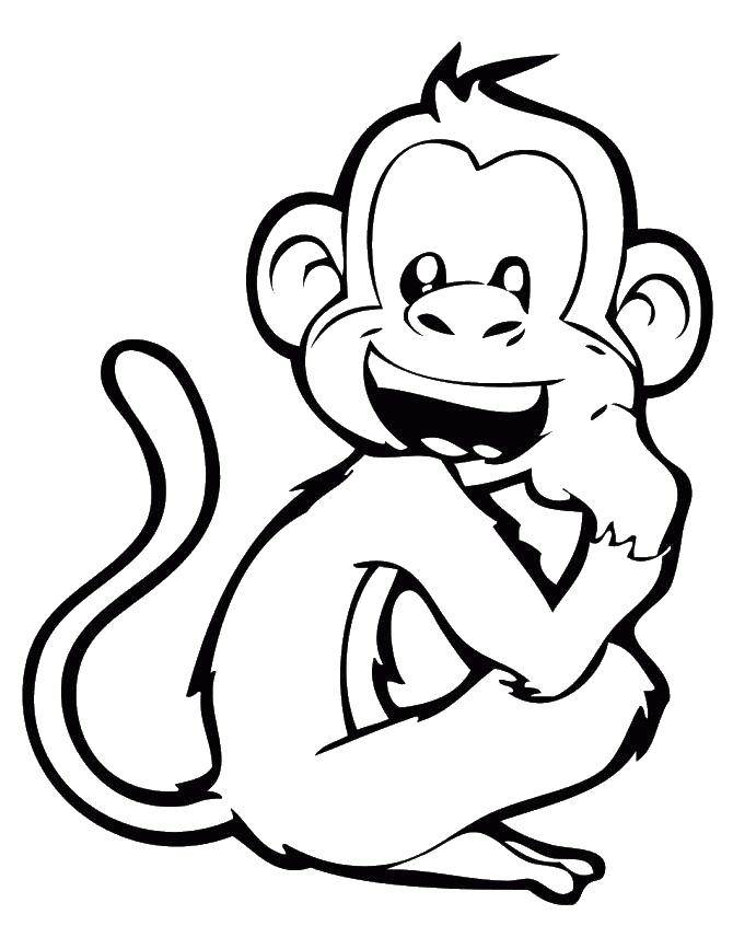 Страница раскраски. веселая обезьяна висит на лозе и держит банан