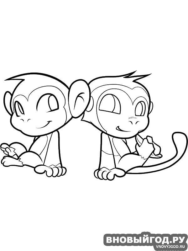 Название: Раскраска Две обезьянки. Категория: обезьяна. Теги: Животные, обезьянка.