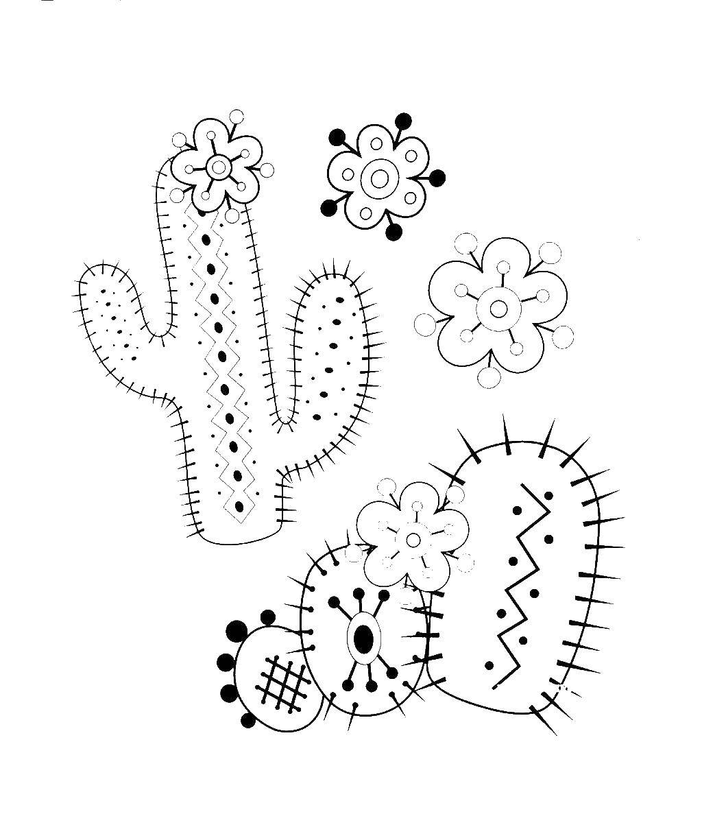 Название: Раскраска Кактусы, цветы. Категория: растения. Теги: растения, кактусы, цветы.