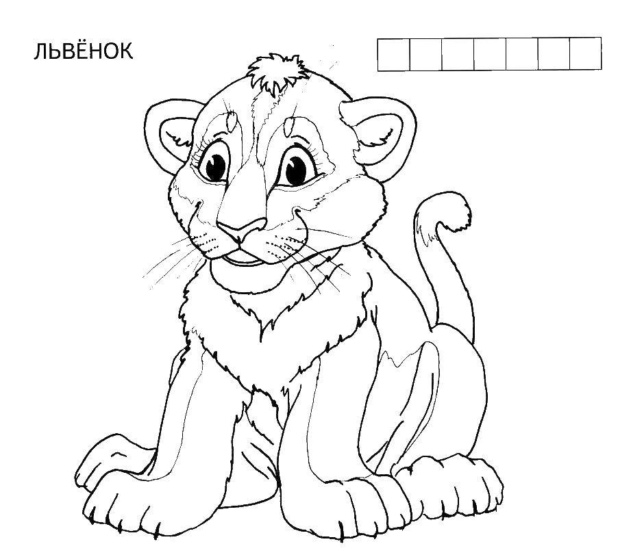 Coloring Little lion. Category a lion cub and a large turtle. Tags:  little cub.