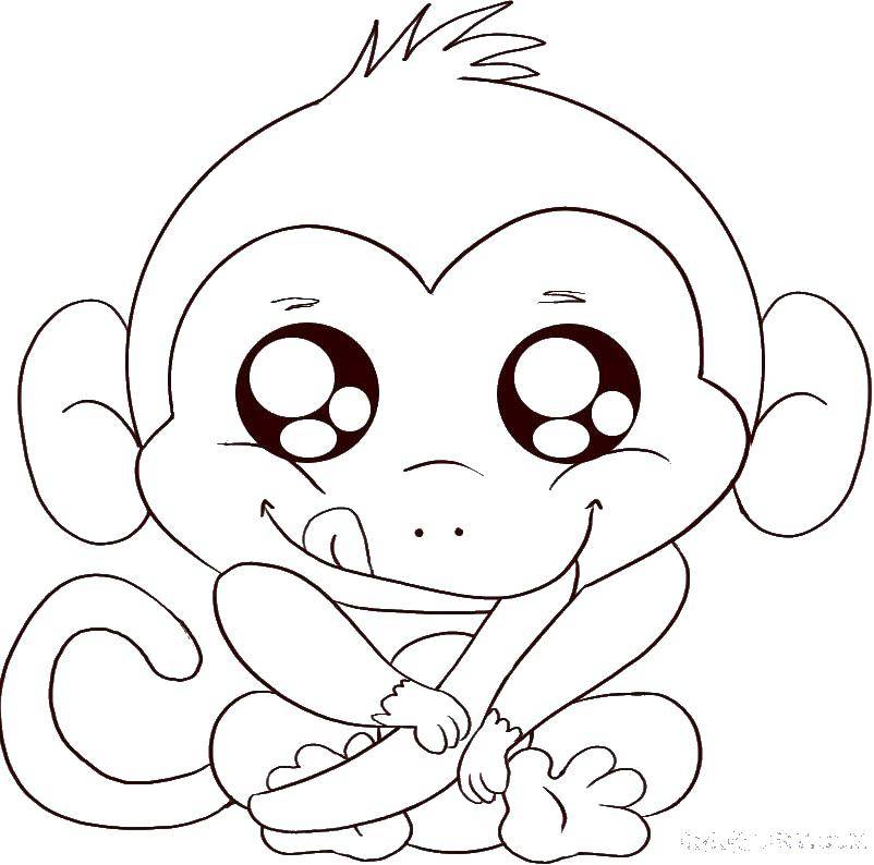 Название: Раскраска Малыш шемпанзе. Категория: обезьяна. Теги: Животные, обезьянка.