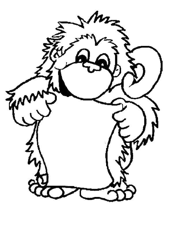 Название: Раскраска Обезьяна с бумагой. Категория: обезьяна. Теги: обезьяна, банан.