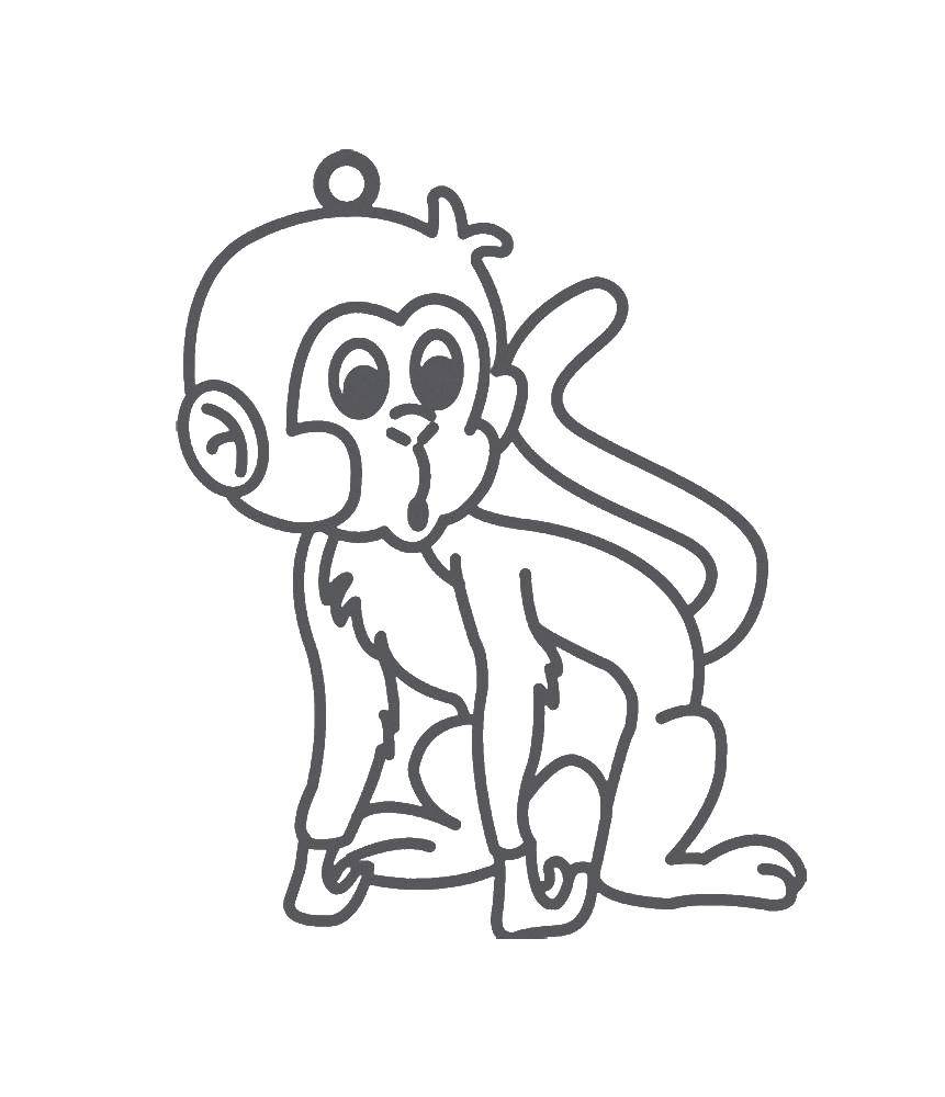 Название: Раскраска Обезьяна. Категория: обезьяна. Теги: обезьяна.