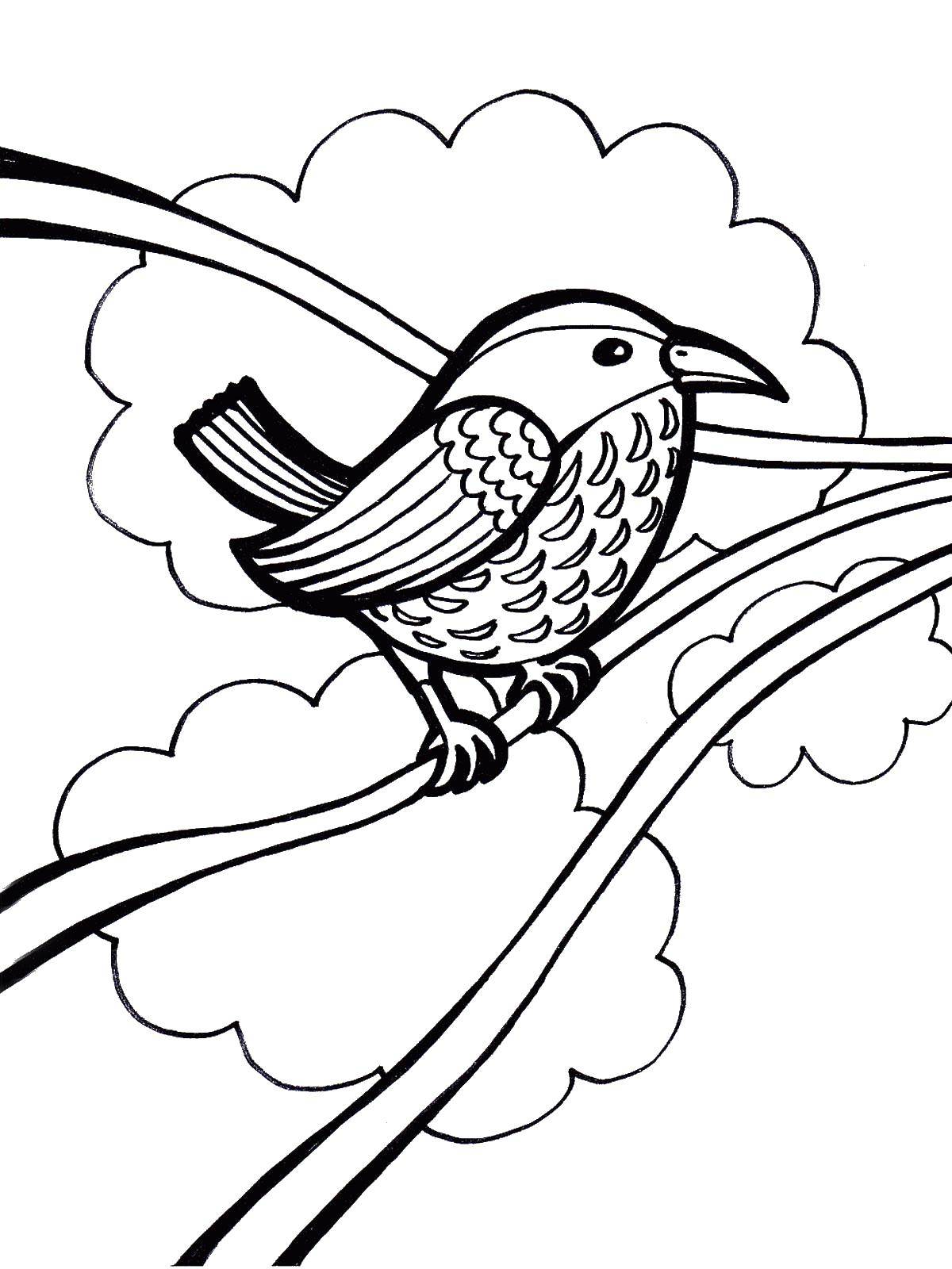 Название: Раскраска Птица на дереве. Категория: птицы. Теги: птица.