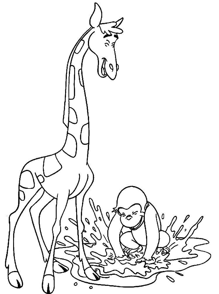 Название: Раскраска Жираф и обезьянка. Категория: Животные. Теги: животные, жираф, обезьянка.