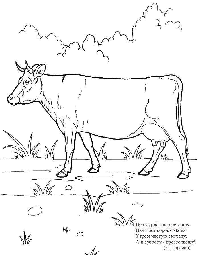 Coloring Ladybug. Category Animals. Tags:  Cow, animals.