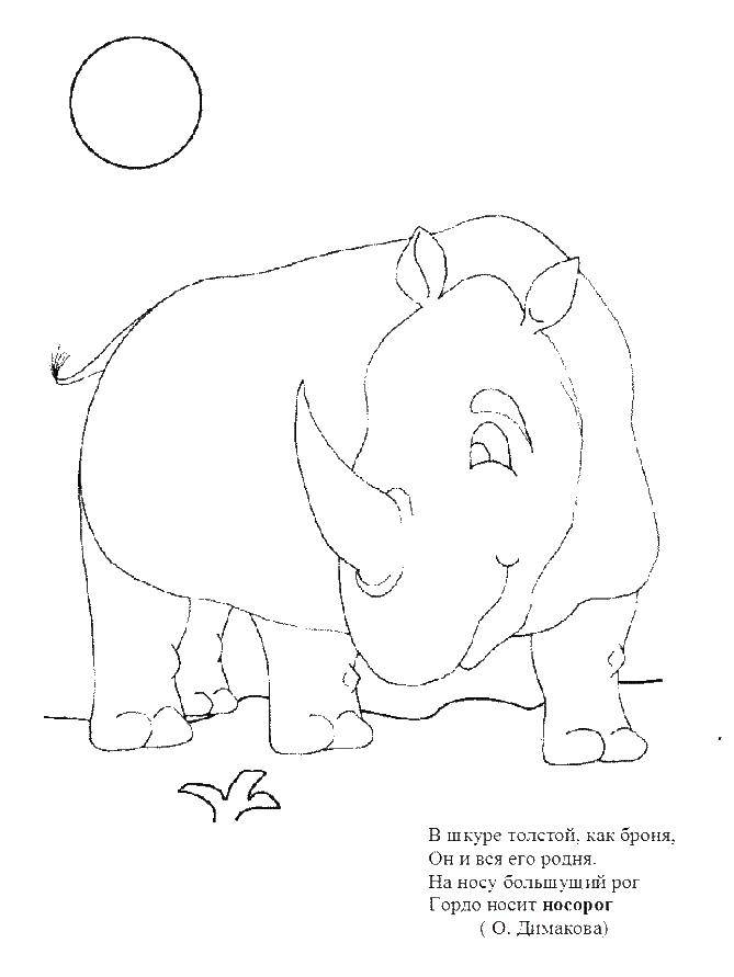 Coloring Rhino. Category Animals. Tags:  Rhino.