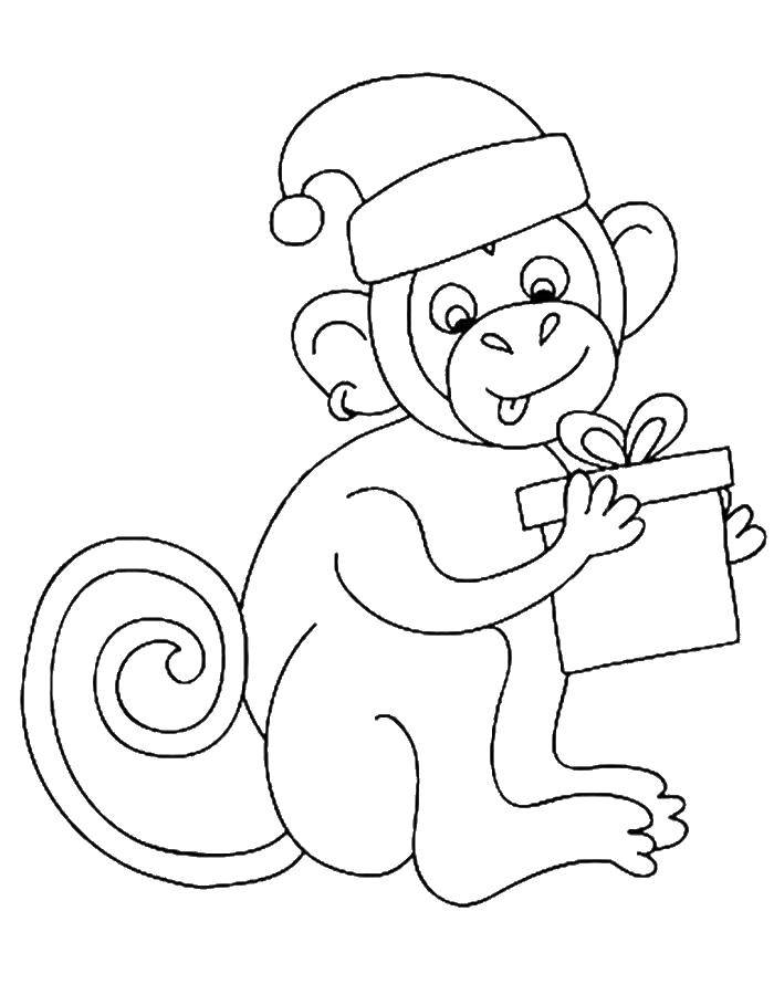 Название: Раскраска Обезьянка с подарком. Категория: Животные. Теги: животные, обезьяна, обезьянка.