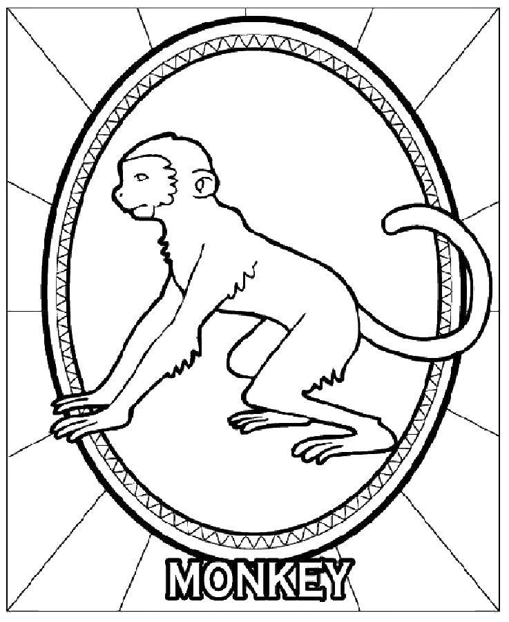 Coloring Monkey. Category Animals. Tags:  animals, APE, monkey.