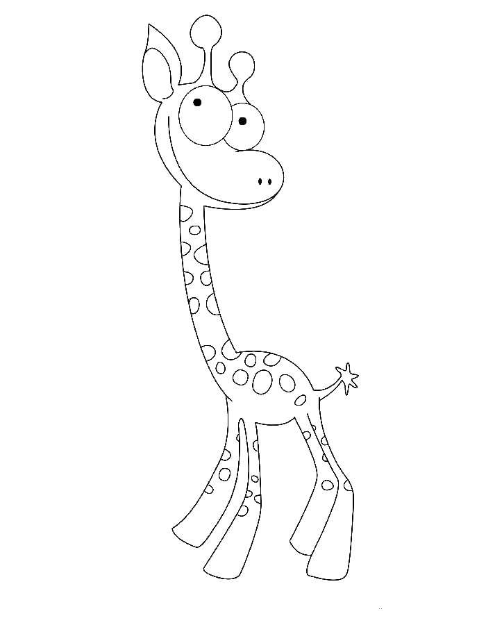 Coloring Giraffe. Category giraffe. Tags:  giraffe.