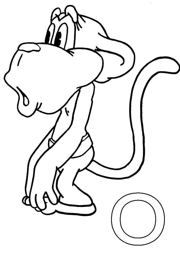Название: Раскраска Обезьяна. Категория: обезьяна. Теги: обезьяна.