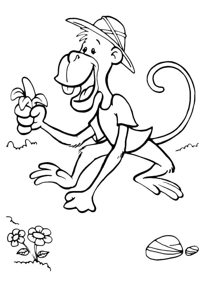Coloring Monkey with banana. Category Animals. Tags:  animals, APE, monkey.