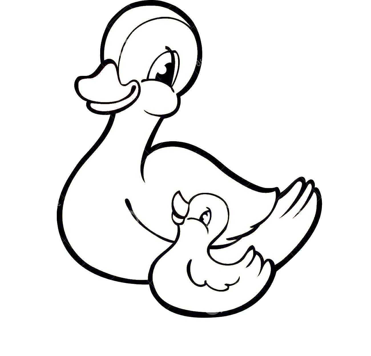 Coloring Duck with duckling. Category The contours for cutting out the birds. Tags:  duck, duckling.