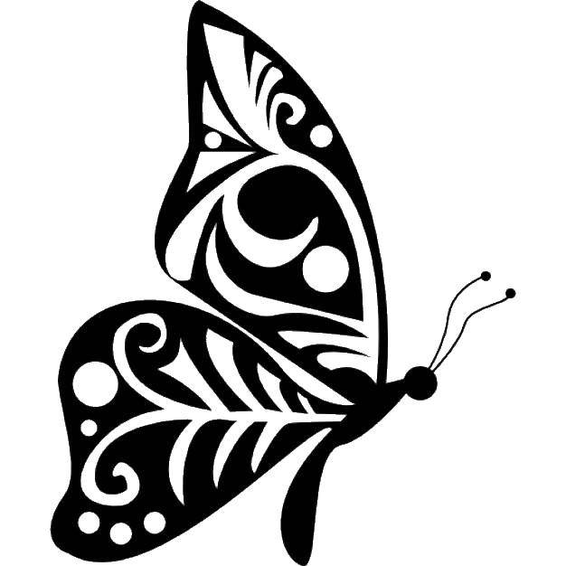 Название: Раскраска Контур бабочки. Категория: Контуры насекомые. Теги: Насекомые, бабочка.