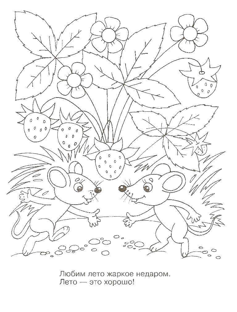 Coloring Mice in the woods. Category Animals. Tags:  Mouse, animals.