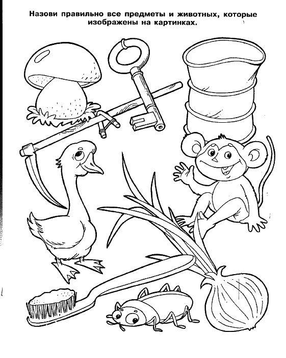 Coloring Name the objects and animals. Category Coloring pages. Tags:  Teaching coloring, logic.